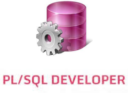 PL/SQL