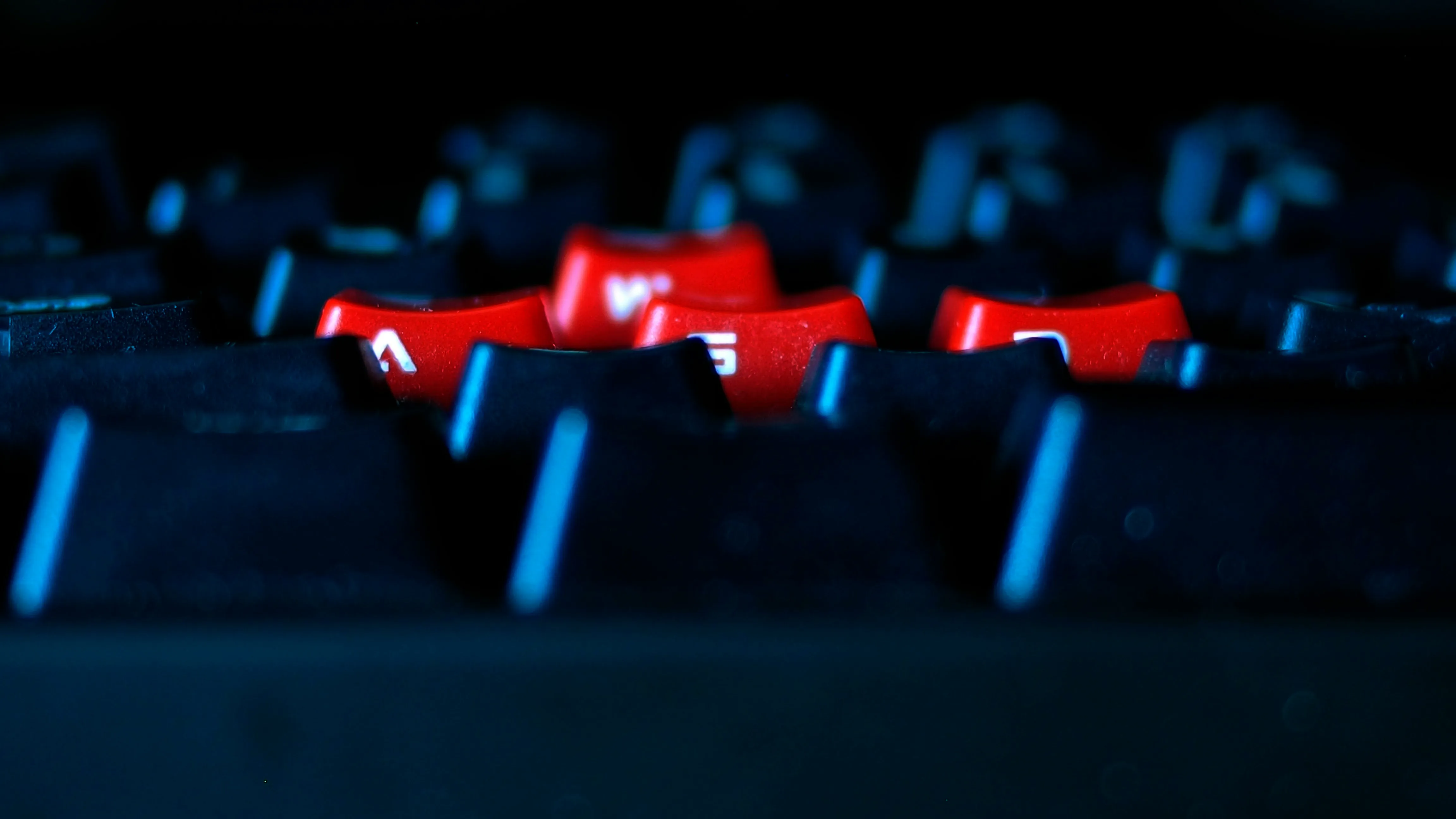 Как инженеры компании «Точка качества» проводили приёмо-сдаточные испытания ПО: Часть 2. Практическая