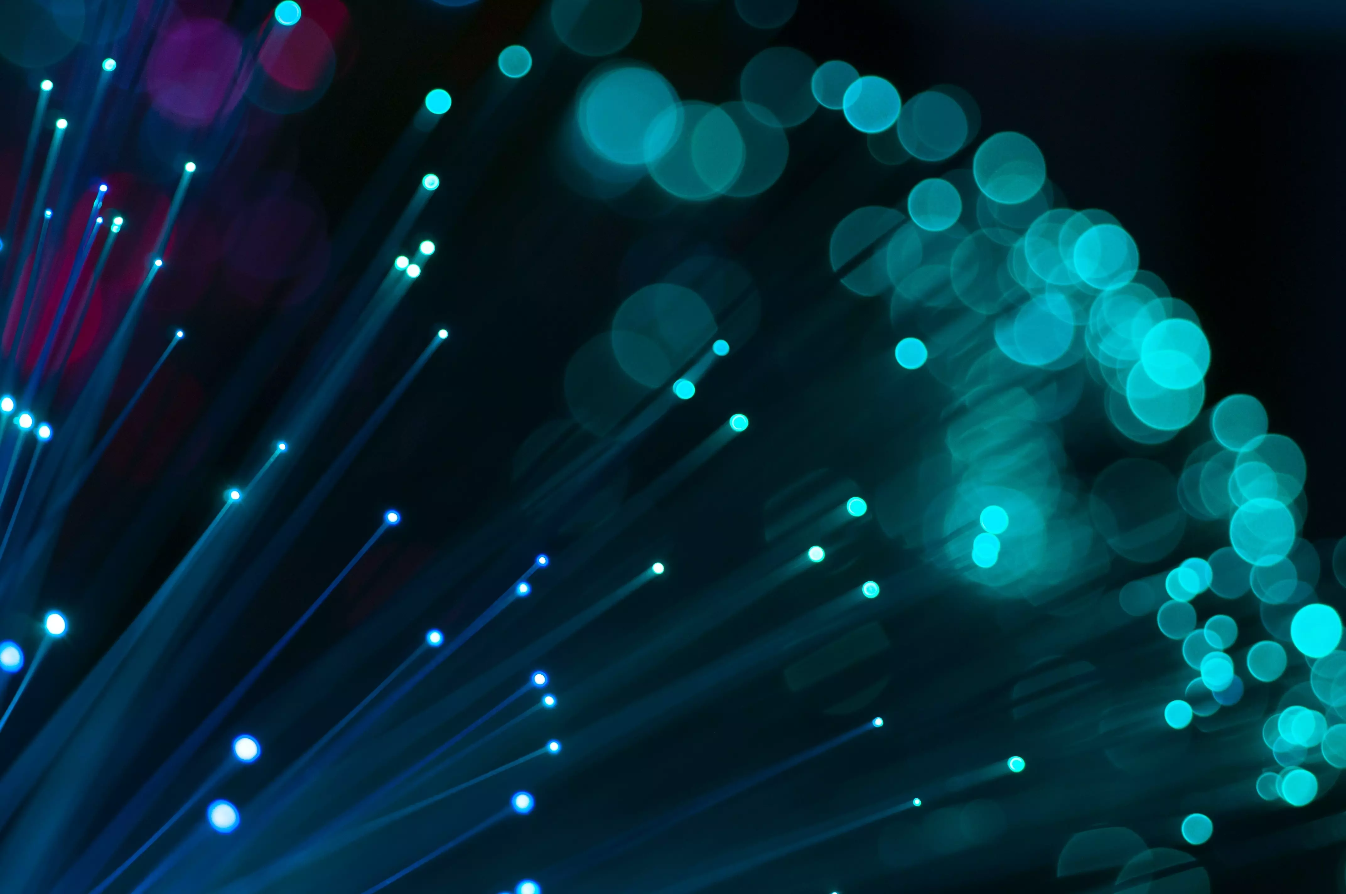 DDoS/DoS атаки как угроза web-безопасности