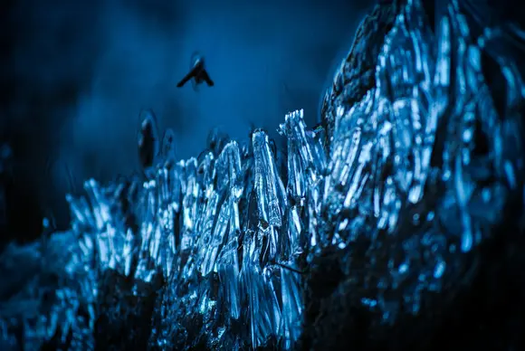 Автоматизация тестирования