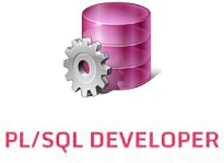 PL/SQL