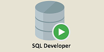 SqlDeveloper