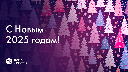 Итоги за 2024 год: что произошло в компании «Точка качества»?